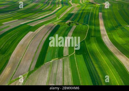 Polonia dall'alto. Vista aerea dei campi agricoli verdi e del villaggio. Paesaggio con campi di Polonia. Tipico paesaggio lucido. Foto Stock