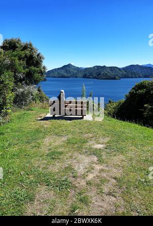 La donna gode della vista, Grove Arm, Marlborough Sounds, South Island, Nuova Zelanda, Oceania. Foto Stock