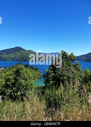 Grove Arm, Marlborough Sounds, Isola del Sud, Nuova Zelanda, Oceania. Foto Stock