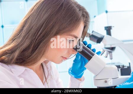 Controllo della qualità delle carni e dei pesci nel laboratorio di qualità alimentare Foto Stock