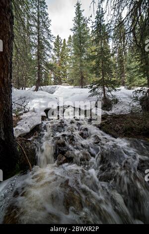 Cascate Trailside Ephemeral Creek sul Wheeler Lakes Trail vicino a Ski Cooper e Copper Mountain a Frisco, nella zona selvaggia di Eagle's Nest, Colorado Foto Stock