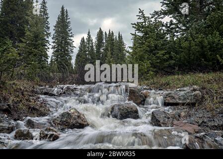 Cascate Trailside Ephemeral Creek sul Wheeler Lakes Trail vicino a Ski Cooper e Copper Mountain a Frisco, nella zona selvaggia di Eagle's Nest, Colorado Foto Stock