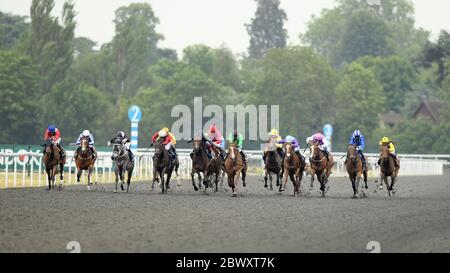 Nazeef, (blu e bianco, seconda a destra) vince la EBF/Unibet Snowdrop Fillies' Stakes all'Ippodromo di Kempton. Foto Stock