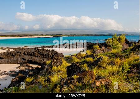 Cerro Brujo spiaggia sull'isola di San Cristobal (Isla San Cristobal) o Chatham Island, Galapagos Islands, Ecuador. Foto Stock