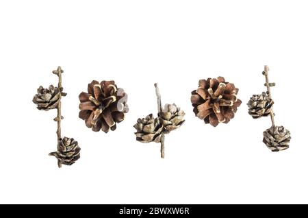 Natale e Capodanno isolato per la progettazione. Coni di larice e coni di pino isolati su sfondo bianco. Disposizione piatta. Vista dall'alto Foto Stock