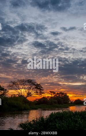 Dopo il tramonto sul fiume Cuiaba a Porto Jofre, nella provincia di Pantanal, Mato Grosso in Brasile. Foto Stock