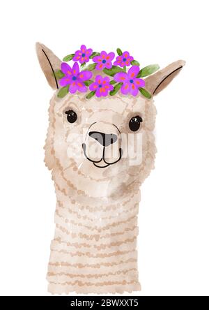 Un'illustrazione digitale dell'acquerello, un ritratto di alpaca sorridente con fiori sulla testa. Alpaca sorridente. Animale divertente. Foto Stock