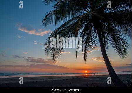 Tramonto sull'Oceano Pacifico con palme da cocco dalle linee silhouette su una spiaggia all'Hotel Monterey del Mar vicino a Jaco in Costa Rica. Foto Stock