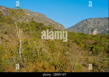 Vista della zona di transizione tra la foresta pluviale costiera e la savana a Caraca, Minas Gerais in Brasile. Foto Stock