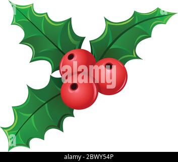 Natale agrifoglio mistletoe bacche Illustrazione Vettoriale
