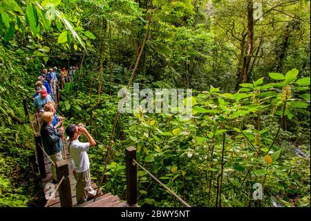 I turisti che camminano nella foresta pluviale ai sentieri El Chorro Macho a El Valle de Anton vicino a Panama City, Panama. Foto Stock