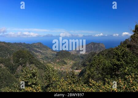 Paesaggio con montagne e alberi verdi su cielo blu e nuvole Foto Stock