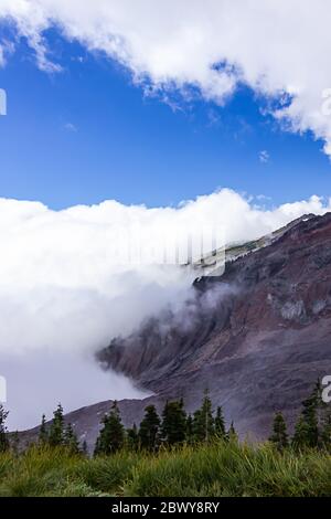 montagne viola scuro nascoste da nebbia e nuvole vicino al verde prato alpino nello stato di washington Foto Stock