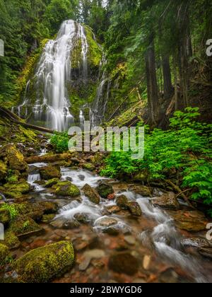 Cascate di Lower Proxy; Proxy Falls Trail, Three Sisters Wilderness, Willamette National Forest, Cascade Mountains, Oregon. Foto Stock