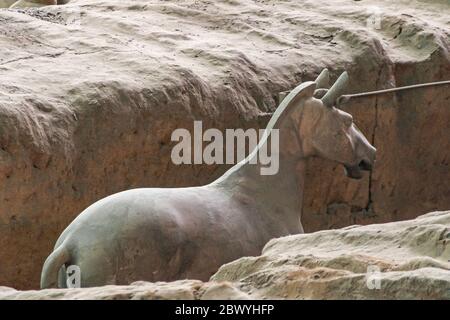 Xian, Cina - 1 maggio 2010: Museo e sala dell'Esercito di terracotta. Antica scultura di cavallo grigio-beige allo scavo. Foto Stock