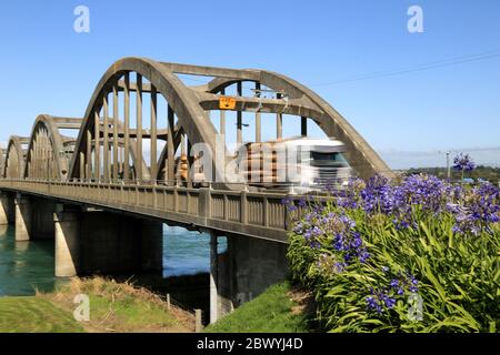 Camion di tronchi sul ponte di Balclitha, Otago del Sud, Nuova Zelanda Foto Stock