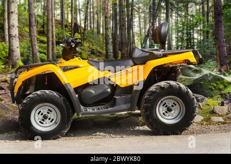 Foto di un veicolo atv giallo fuoristrada in piedi nella vista del profilo forestale. Foto Stock