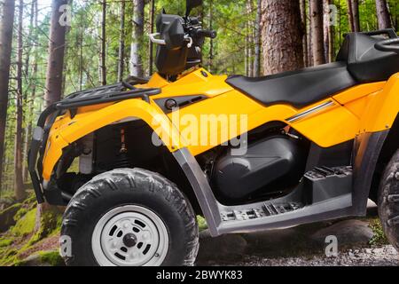 Foto di un veicolo atv giallo fuoristrada in piedi in vista ravvicinata del profilo forestale. Foto Stock