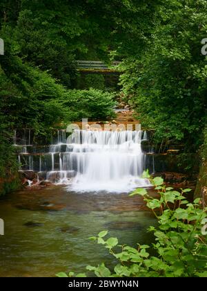 Cascata del fiume gerês che corre tra gli alberi prima di cadere gettare i gradini di roccia ed entrare nel villaggio Foto Stock