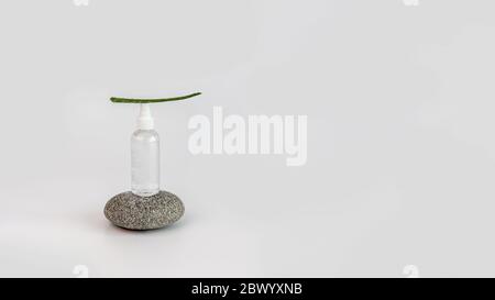 Pietra naturale con flacone cosmetico igienizzante su sfondo grigio con pianta verde. Nuovo concetto normale. Composizione di bilanciamento dalle figure. Naturale, bea Foto Stock