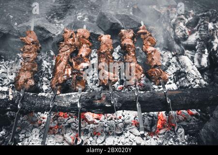 Kebab su un falò nella foresta. Gustosi e succosi pezzi di carne sugli spiedini su calici incandescenti. Natura Escursionismo Camping barbecue Foto Stock