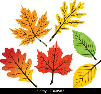 Collezione retro Leaf - un'illustrazione di una Collezione retro Leaf. Illustrazione Vettoriale