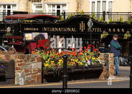 Jarveys aspetta i clienti di fronte all'International Hotel nel centro di Killarney a Killarney, Contea di Kerry, Irlanda Foto Stock