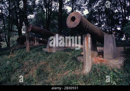 Vecchi cannoni presso i martiri rivoluzionari parco vicino all'ex Ufficio del Comitato del Partito Comunista Ungano nella città di Changsha nella provincia di Hunan Cina Foto Stock