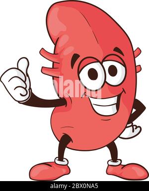 Vettore kidney cartone animato corpo umano salute organo sorridente mascotte personaggio illustrazione isolato su sfondo bianco perfetto da utilizzare per la consapevolezza medica Illustrazione Vettoriale