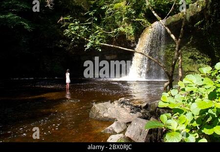 Sgwd Gwladys o Lady Falls vicino a Pontneddfechan nella Neath Valley, Galles del Sud, Regno Unito Foto Stock