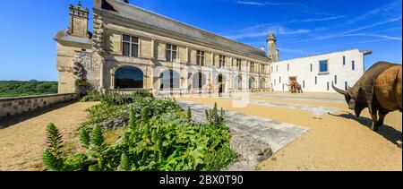 Francia, Indre et Loire, le Grand Pressigny, il castello di Grand Pressigny, la Preistoria del Grand Pressigny Museum // Francia, Indre-et-Loire (37), le Grand- Foto Stock