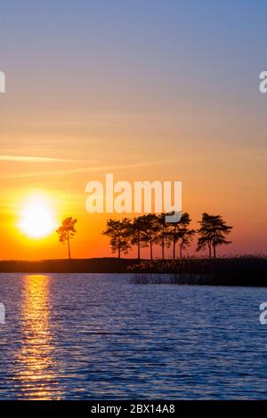 Tramonto vivace su un lago, lucernario blu e arancione con una silhouette di pini Foto Stock