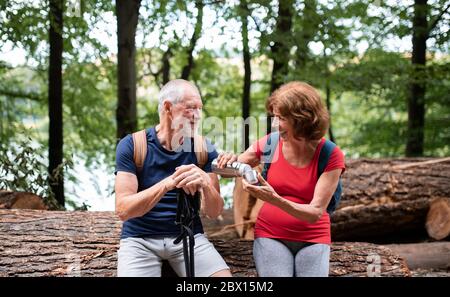 Coppia turistica senior con fiasca su una passeggiata nella foresta in natura, seduta. Foto Stock