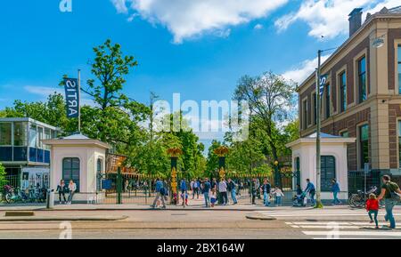Amsterdam, 25 maggio 2019 - i visitatori del parco animali e dello zoo Artis entrano in una giornata estiva soleggiata Foto Stock