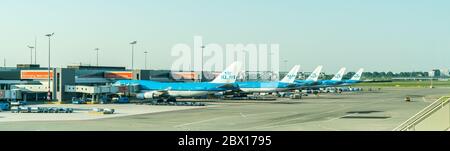 Fila di aerei KLM all'aeroporto di Schiphol nei Paesi Bassi Foto Stock