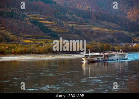 nave sul danubio. Vista dei vigneti alla luce del tramonto, Valle di Wachau, Austria Foto Stock