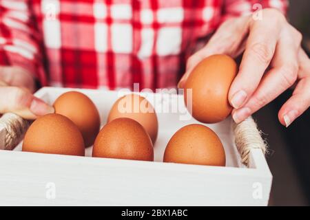 Ragazza in azienda con una scatola di uova di pollo fresche - allevamento di sussistenza - polli da allevamento Foto Stock