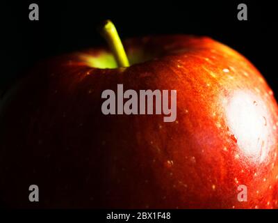 Primo piano di una singola Braeburn che mangia mela su uno sfondo nero Foto Stock