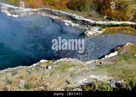 Bolle di gas in superficie in questa sorgente geotermica lungo Firehole Lake Drive nel Parco Nazionale di Yellowstone. Foto Stock