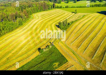 Prati arati, vicino a Eurasburg, Toelzer Land, colpo di drone, alta Baviera, Baviera, Germania Foto Stock