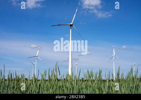 Le turbine eoliche in un cornfield visto in Germania Foto Stock