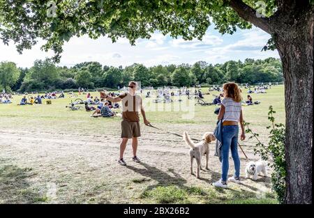 Chi si gode del sole primaverile a Wandsworth Common London UK Foto Stock