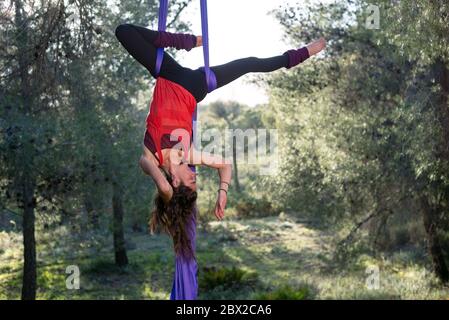 ragazza giovane acrobat. Sete aeree praticanti. Donna forte che fa acrobazie circensi con vestiti nella foresta. Posa del blocco dell'anca invertita. Foto Stock