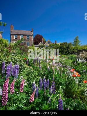 Vista diurna estiva dei Giardini Crook Hall, Durham City, County Durham, Inghilterra, Regno Unito Foto Stock