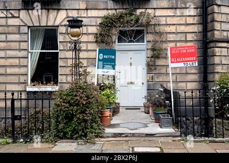 Cartelli di "affittamento" da parte dell'agente su un edificio residenziale nella nuova città georgiana di Edimburgo. Foto Stock