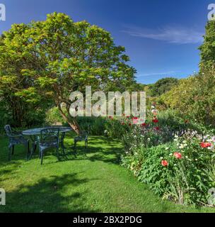 Vista diurna estiva dei Giardini Crook Hall, Durham City, County Durham, Inghilterra, Regno Unito Foto Stock