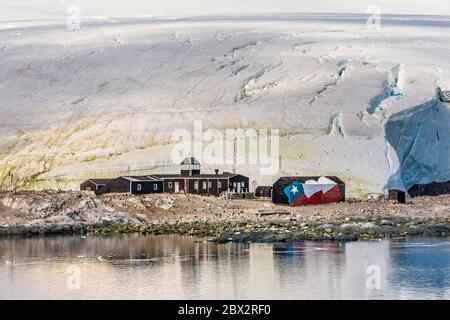 Antartide, Oceano Meridionale, Penisola Antartica, Terra Graham, Paradise Harbour, Colonia dei Pinguini Gentoo (Pigoscelis papua) presso la stazione di ricerca scientifica Gabriel GONZALEZ VIDELA (Cile) Foto Stock