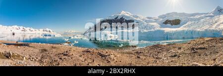 Antartide, Oceano Meridionale, Penisola Antartica, Terra Graham, Baia Andvord, Porto di Néko, veduta panoramica della colonia di pinguini Gentoo (Pigoschelis papua) Foto Stock