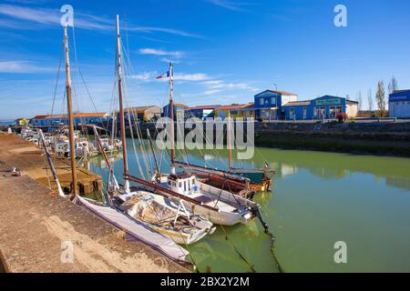 Francia, Charente-Maritime (17), Bateaux au mouillage sur le port de Saint-Trojan-les-Bains Foto Stock