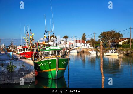 Francia, Charente-Maritime (17), Bateaux le long du chenal de Boyardville, Saint-Georges d'Oléron Foto Stock